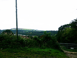 Random shot taken by my daughter Random shot taken by my daughter